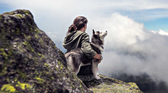 “In montagna a quattro zampe”: due escursioni con i cani per il 150° del Cai Lecco Cane montagna pixabay