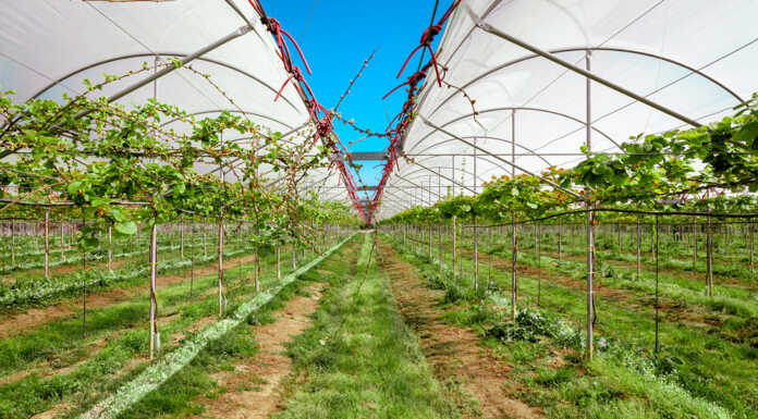 Lecco. Rinnovo e migliorie per il contratto del comparto agricolo-florovivaistico Serre, rinnovo contratto operai agricoli