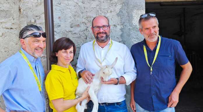 Blue-tongue, Zamperini (FdI) in visita ad allevatori e pastori: “La Regione farà tutto il necessario”