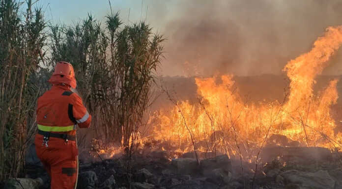 Comunità Montana. Piano straordinario contro gli incendi boschivi Un volontario della squadra Aib di Lecco al lavoro per lo spegnimento di un incendio boschivo in Puglia