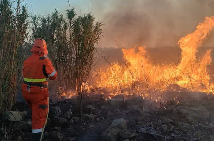 Un volontario della squadra Aib di Lecco al lavoro per lo spegnimento di un incendio boschivo in Puglia