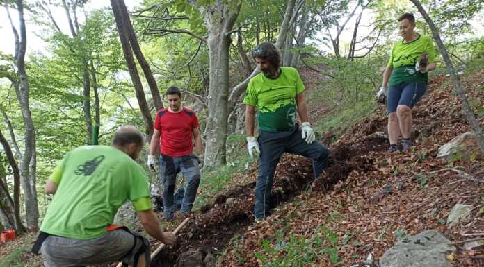 Val Boazzo: ripristinato il ‘Sentee de volta ‘n dree'” grazie ai volontari del Cai Val Boazzo pulizia sentiero (23)