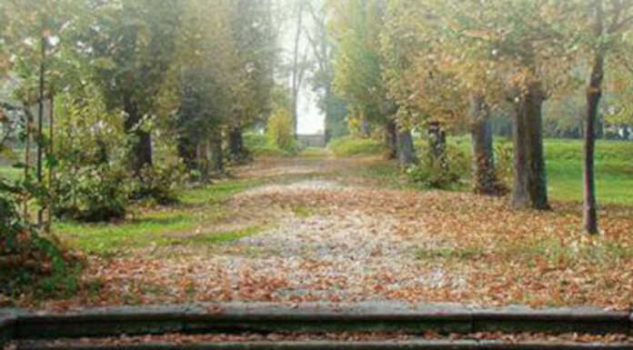 Grande successo per Ville Aperte in Brianza 2025, oltre 25 mila visitatori Ville-Aperte