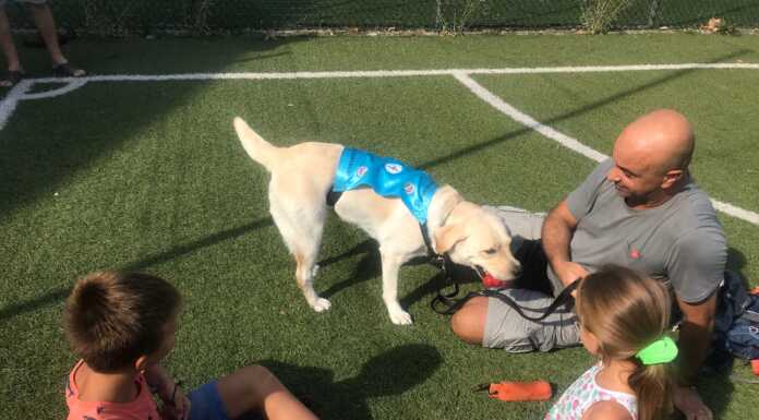 Ad Airuno il primo raduno regionale dei cani addestrati per l’allerta diabete