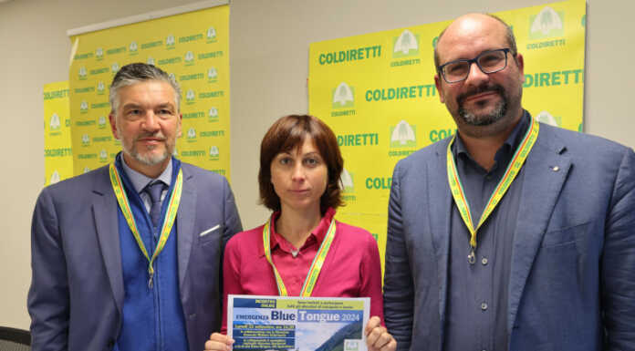 Blue tongue, oltre cento allevatori lariani collegati con Regione per avere risposte