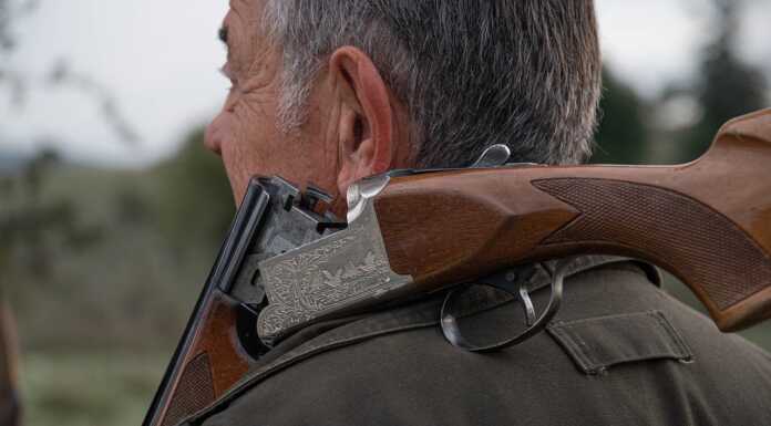 Caccia vietata su 23 valichi lombardi, ok della Giunta regionale caccia cacciatore