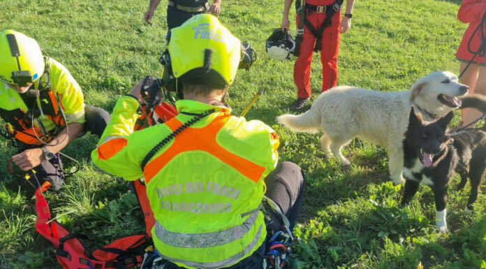 Mandello. Due escursionisti e tre cani recuperati sul Sentiero del Fiume Mandello Sentiero del Fiume recupero escursionisti cani Vigili del Fuoco