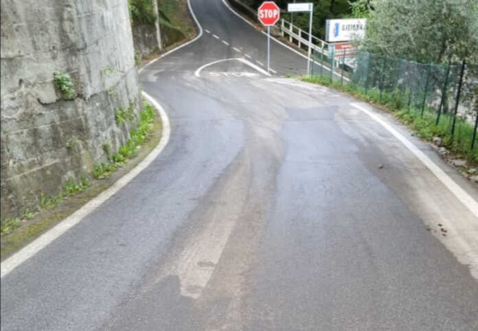 Perledo perdita olio Riva di Gittana Strada del Verde