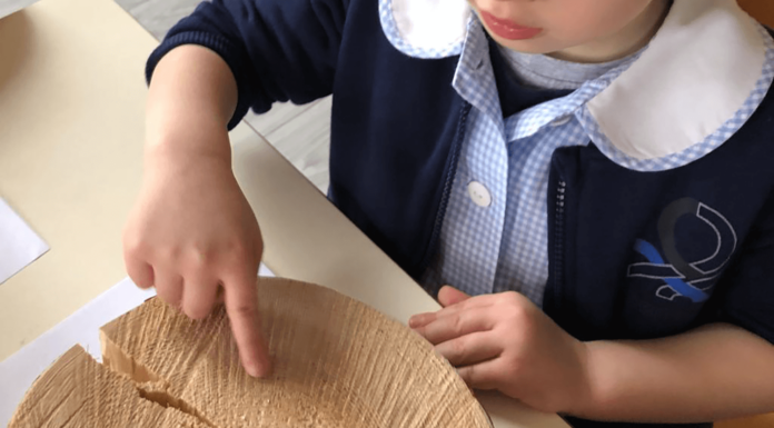 Si abbassa a 4 il numero minimo di bimbi per attivare una sezione Primavera nei comuni montani