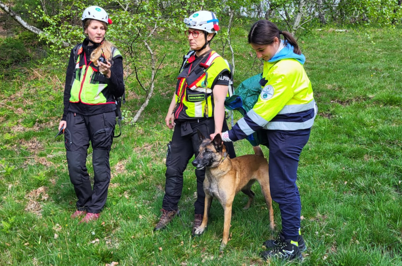 Cani da soccorso alpini