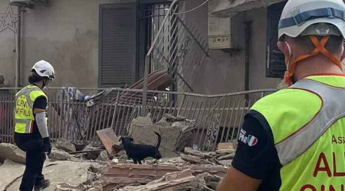 Cani da soccorso, a Nibionno il grande evento organizzato dagli Alpini di Lecco Cani da soccorso alpini