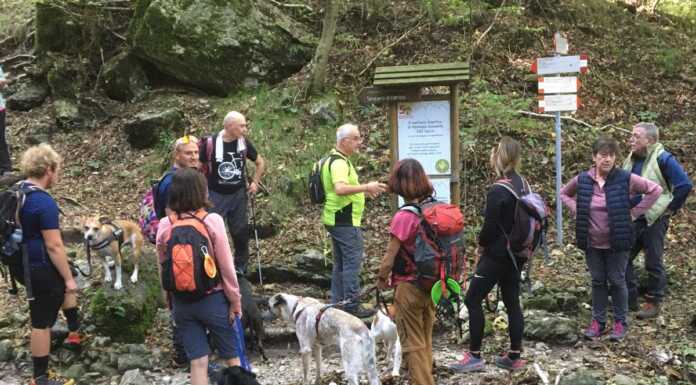 Cai Lecco. Successo per l’escursione con gli amici a quattro zampe Escursione_4_zampe_cai_lecco_20241002