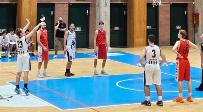 Basket DR3. NP Olginate, la carica dei Rhinos è respinta! Olginate NP Olginate Rhinos Robbiate 20241018