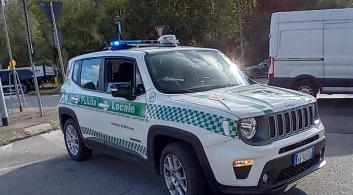 Grosso albero pericolante a Nibionno, intervento dei Vigili del Fuoco Polizia Locale di Nibionno