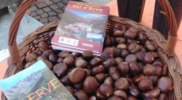 A Erve tutto pronto per un nuovo goloso evento… la Sagra della Castagna Sagra della Castagna Erve