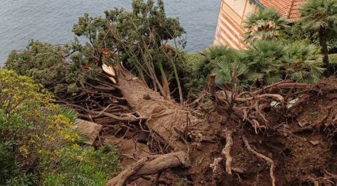 Varenna. Villa Monastero ancora chiusa dopo il crollo della pianta: “In corso verifiche di stabilità”