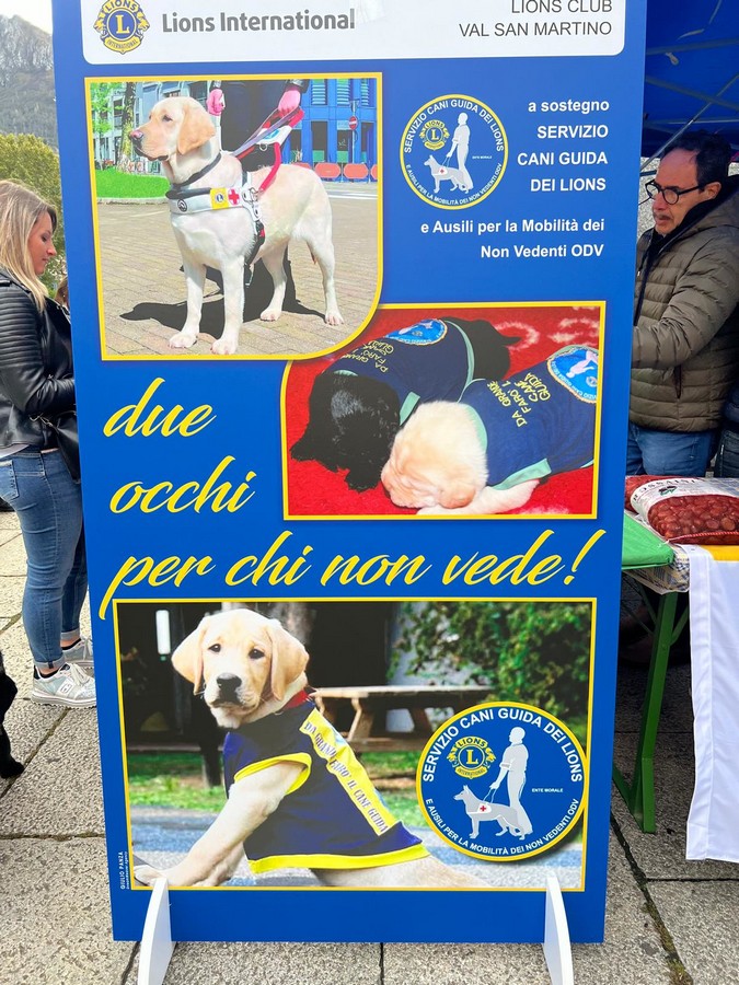 castagnata_lions_valle_san_Martino_20241022