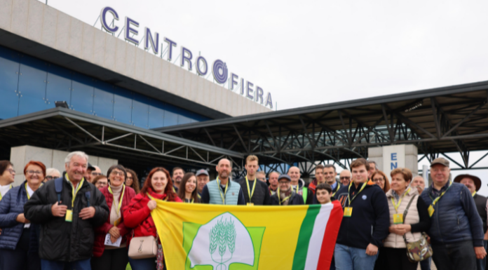 Peste suina, Coldiretti: “Servono almeno 50 milioni per affrontare l’emergenza”