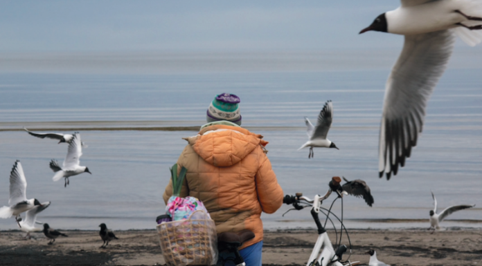 Il festival Immagimondo ospita la mostra fotografica “Questa è l’Europa”