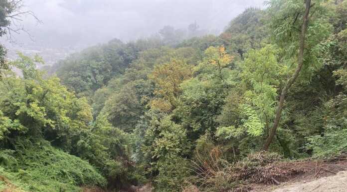 Bando Dissesti 2024: altri 8,6 milioni per finanziare ulteriori domande frana pian sciresa