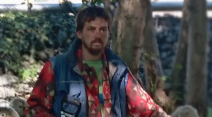 Ovini morti a San Michele, una raccolta fondi per aiutare il pastore Mauro Farina mauro farina