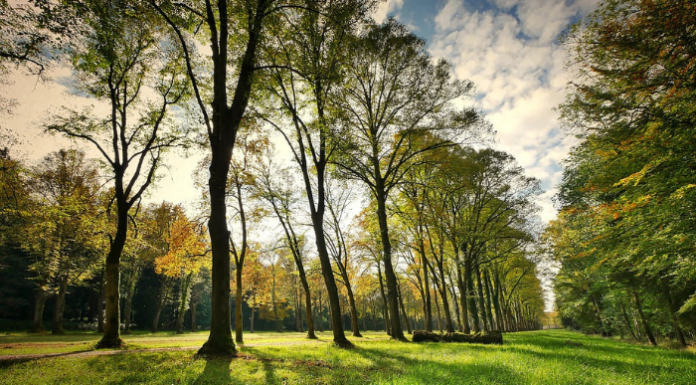 Ampliamento Parco Valle Lambro: sì unanime del Consiglio regionale