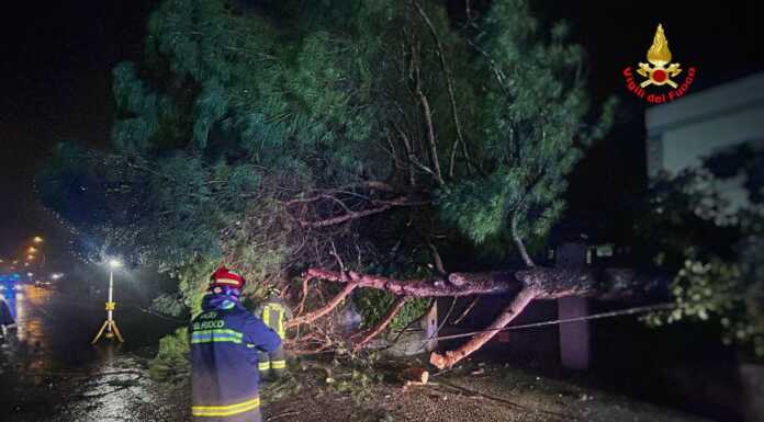 Galbiate. Pianta cade in via Lecco, intervento dei Vigili del Fuoco nella notte pianta galbiate caduta via lecco