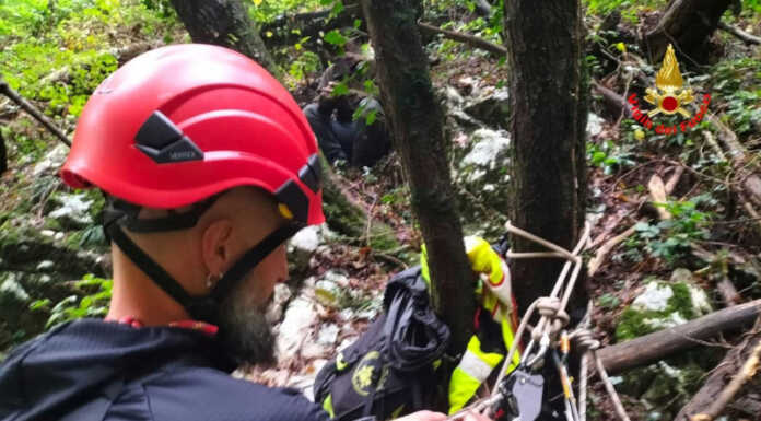 Erve. Cane disperso recuperato dai Vigili del Fuoco Recupero cane disperso Vigili del Fuoco