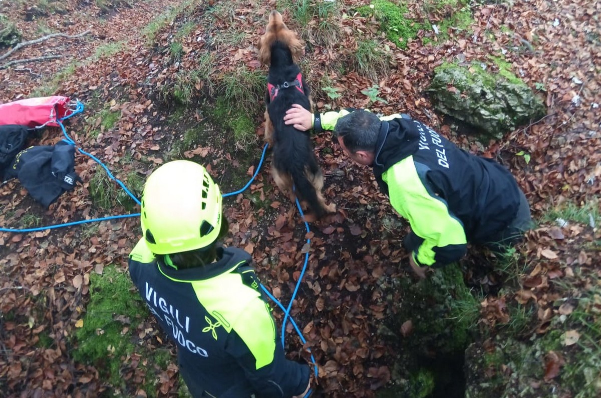 salvataggio_cane_blues_resinelli_Nora_20241022