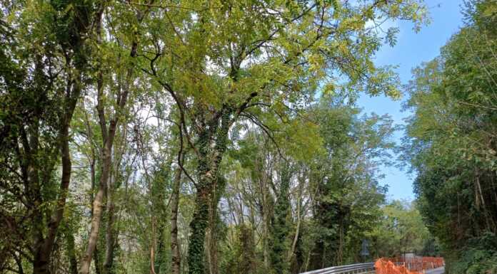 Ballabio, continuano i lavori di rinforzo del ciglio a valle della provinciale