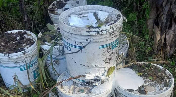 Brivio, secchi di vernice abbandonati nel sentiero dietro le scuole