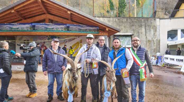 Casargo, successo per la Mostra della Capra Orobica. Il Vincitore Becchi 2024 è Perseo