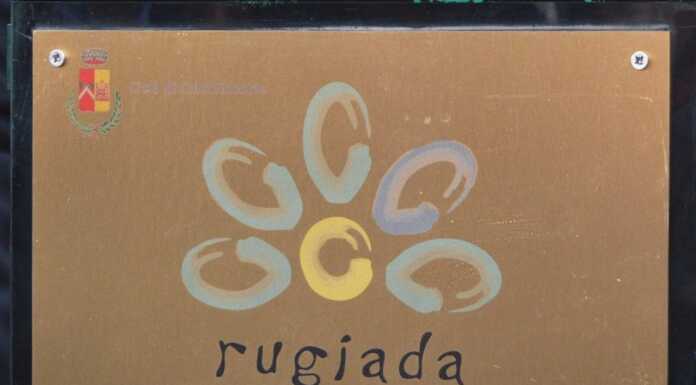 A Roma prima nazionale del docufilm sul Centro Diurno Disabili di Calolzio Centro_Diurno_Disabili_CDD_Rugiada_Calolzio_20241110
