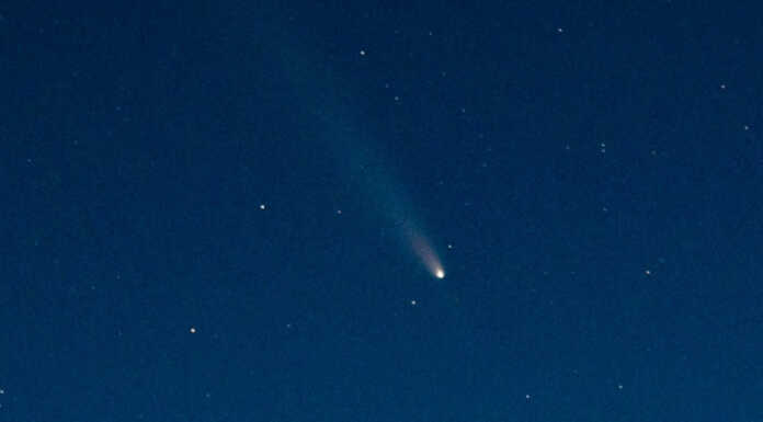 Il fascino della cometa Tsuchinshan-ATLAS nelle foto di Diego Panzeri La cometa Tsuchinshan-ATLAS fotografata da Diego Panzeri il 18 ottobre dal passo di Agueglio