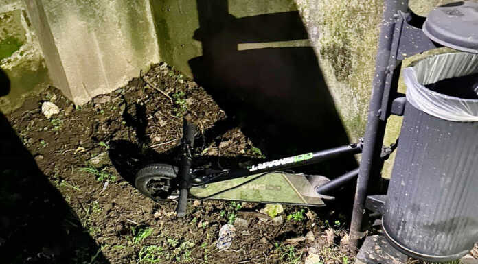 Lecco. Area cani di via Crollalanza: “Vetri e sporcizia un pericolo per i nostri animali”