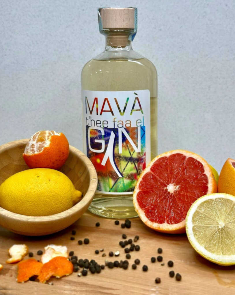 Mava gin nuovo 2024