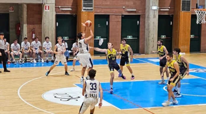 Basket Serie DR3. Olginate, gran primo tempo contro Mapello Olginate NP Olginate sMapello 20241113
