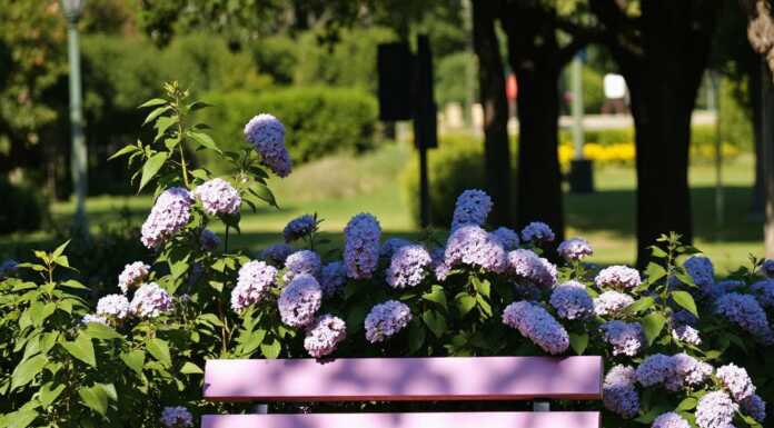 Prematurità e sensibilizzazione: a Molteno si inaugura una panchina lilla Panchina Lilla