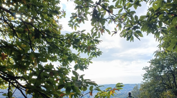 Liberi Sogni: torna l’evento “Tutti i sentieri portano a Rapello”