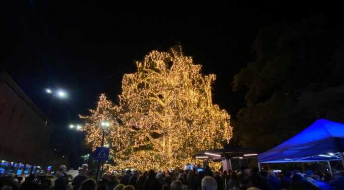 Lecco, si accendono le luci dell’albero di Natale in piazza Mazzini