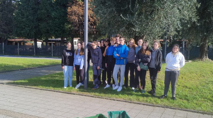 Gli studenti del Marco Polo producono l’olio con le olive del lungolago di Dervio