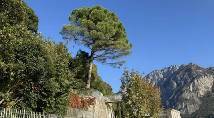 La “strada della Rocca” sarà chiusa fino a marzo, al via il 2° lotto di lavori