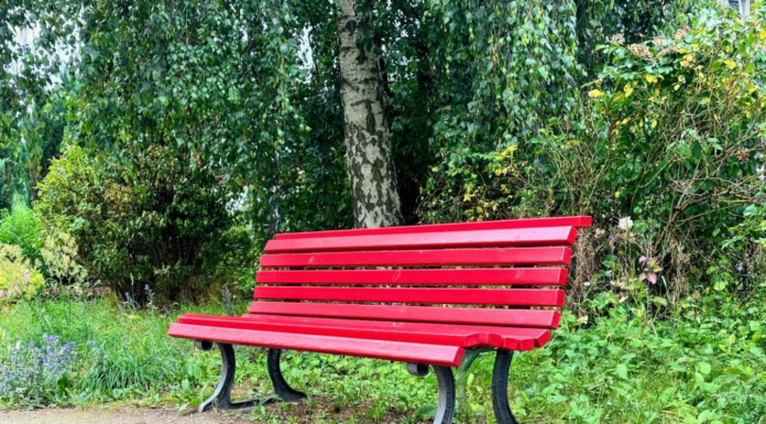 Il Cfpa di Casargo dice no alla violenza sulle donne con un evento speciale panchina rossa cfpa casargo