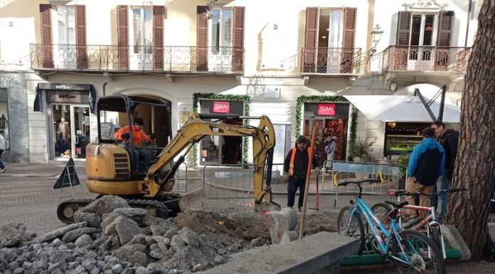 Piazza Garibaldi, analisi sulle radici dei pini al ‘cantun di ball’