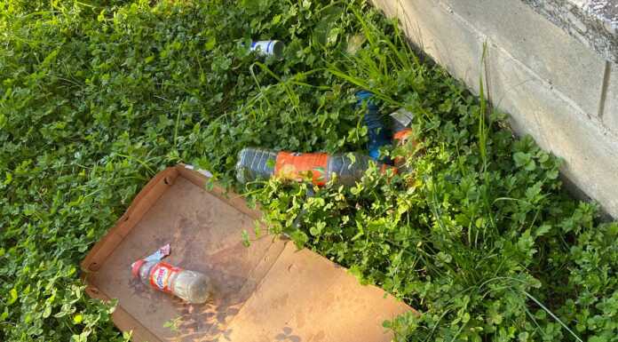 Sporcizia e schiamazzi al parco Pertini di Germanedo, la segnalazione di un lettore