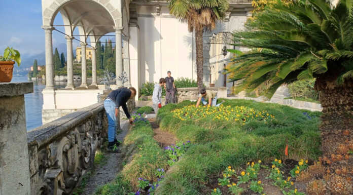 Varenna. A Villa Monastero la piantumazione delle piantine invernali villa-monastero-allievi-minoprio