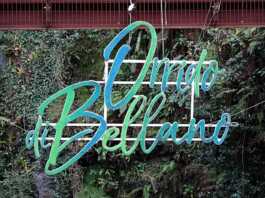 Online i nuovi siti web dedicati all’Orrido di Bellano e alla Pesa Vegia Orrido di Bellano Christmas Lights Natale 2024