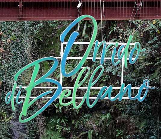 Online i nuovi siti web dedicati all’Orrido di Bellano e alla Pesa Vegia Orrido di Bellano Christmas Lights Natale 2024