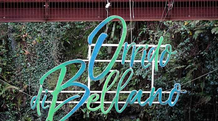 Online i nuovi siti web dedicati all’Orrido di Bellano e alla Pesa Vegia Orrido di Bellano Christmas Lights Natale 2024