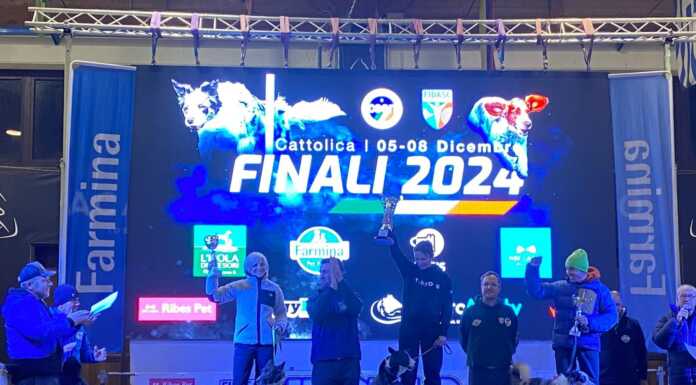 Agility Dog, le finali nazionali portano in alto la ASD Toby Dog di Olginate Agility Dog